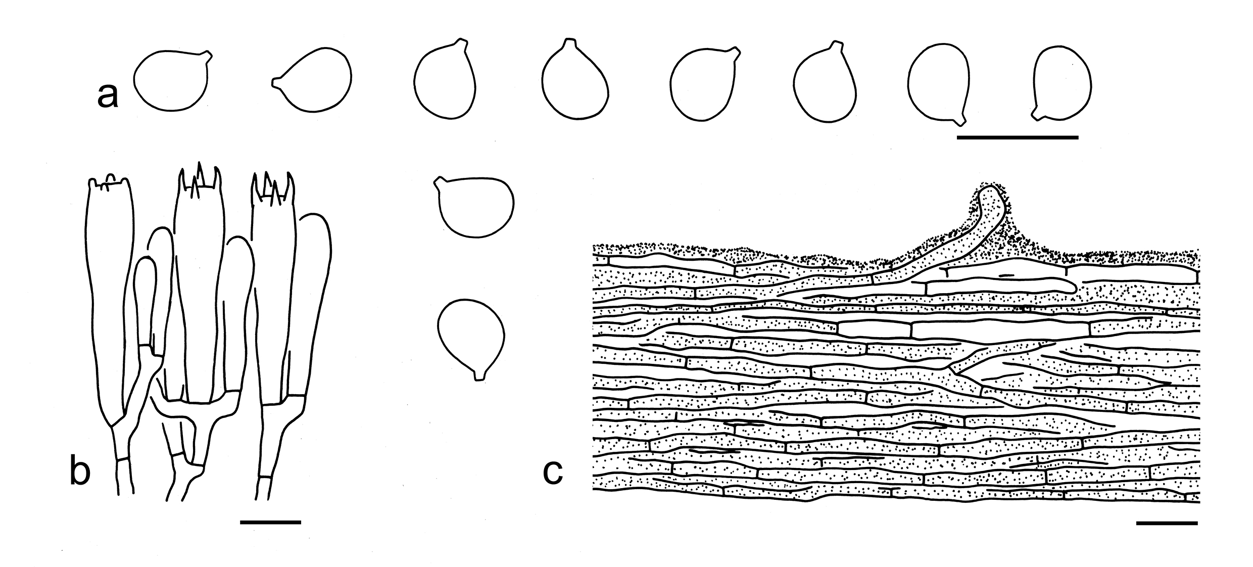 Figure 33